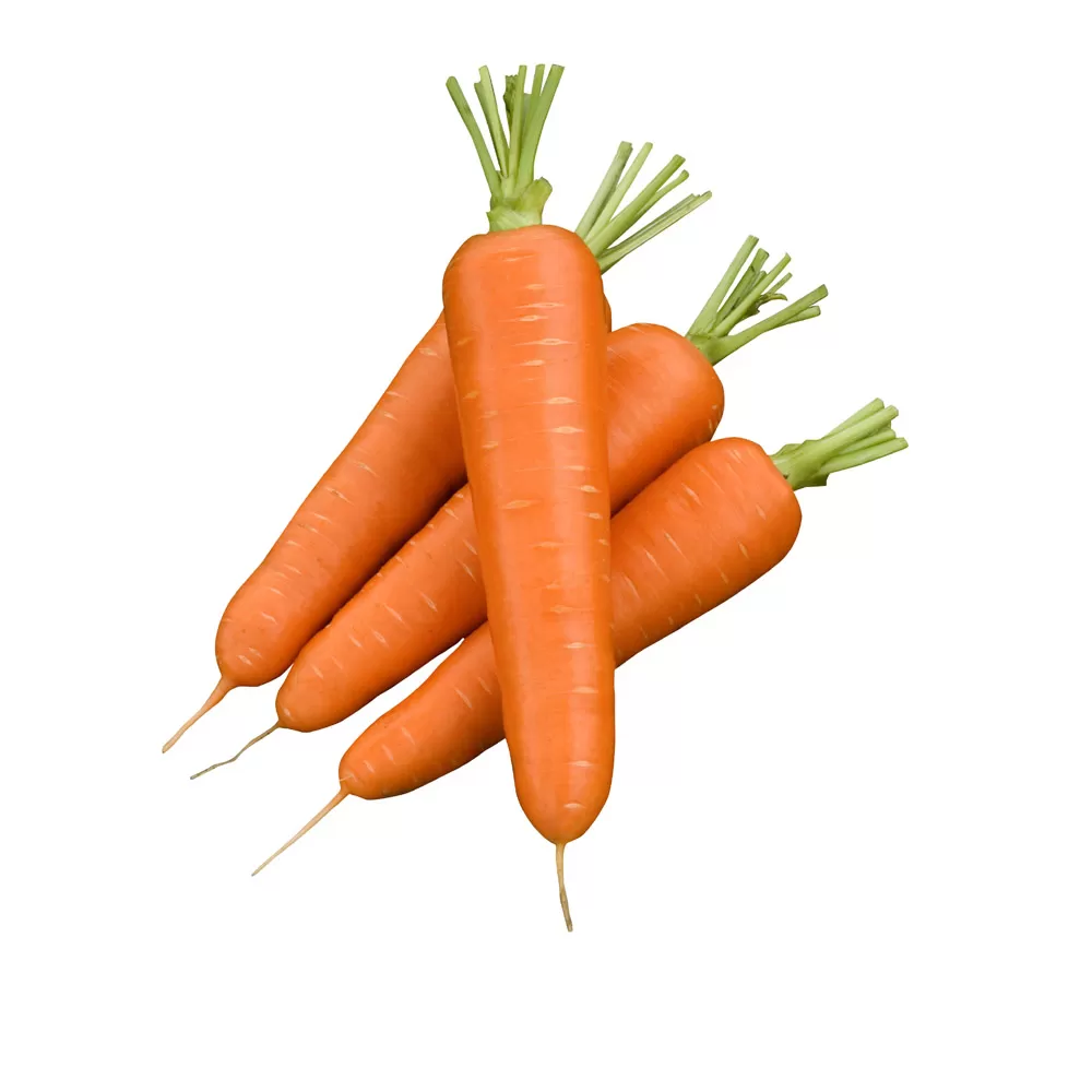 картинка Морковь мытая в магазине Ураешка